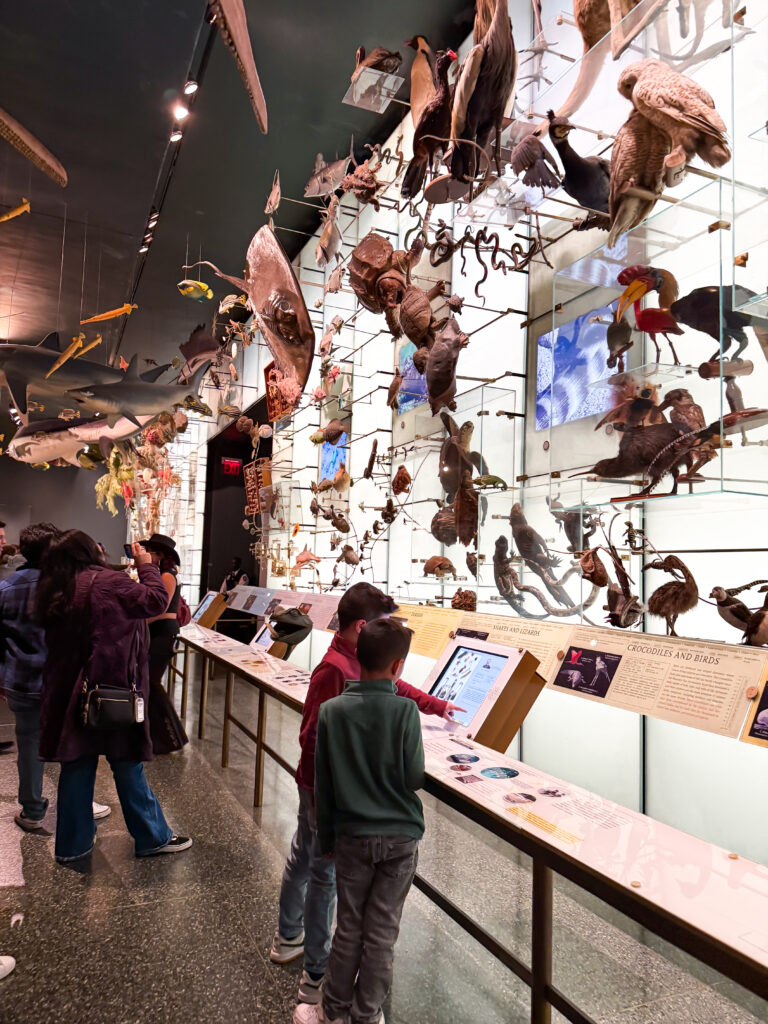 Inside of Museum of Natural History