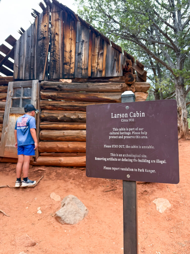 Homestead cabin along the Taylor Creek Trailhead 